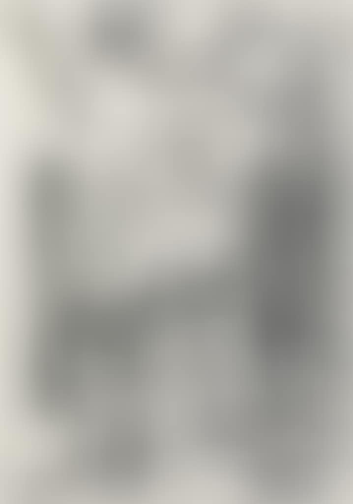 The Visitation (preview)