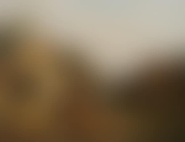 Village at the door of the hamlet (preview)