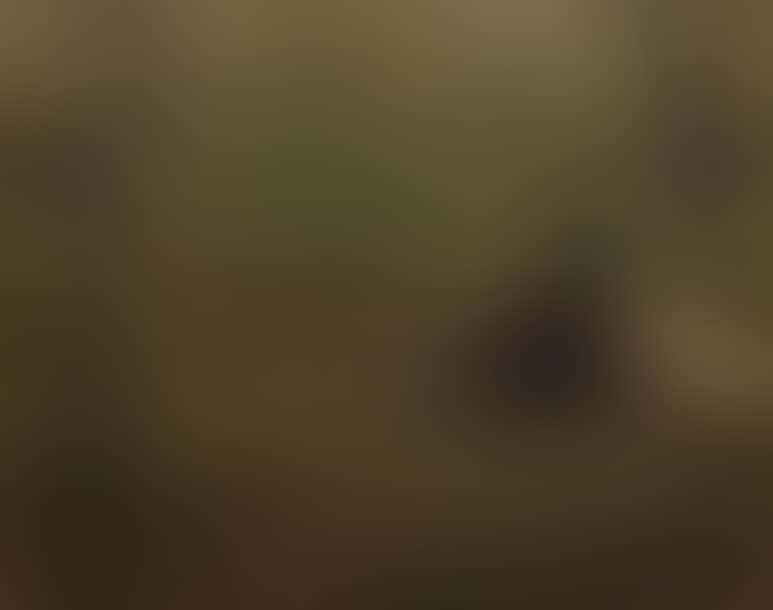 Woman reading surprised by a rider (preview)