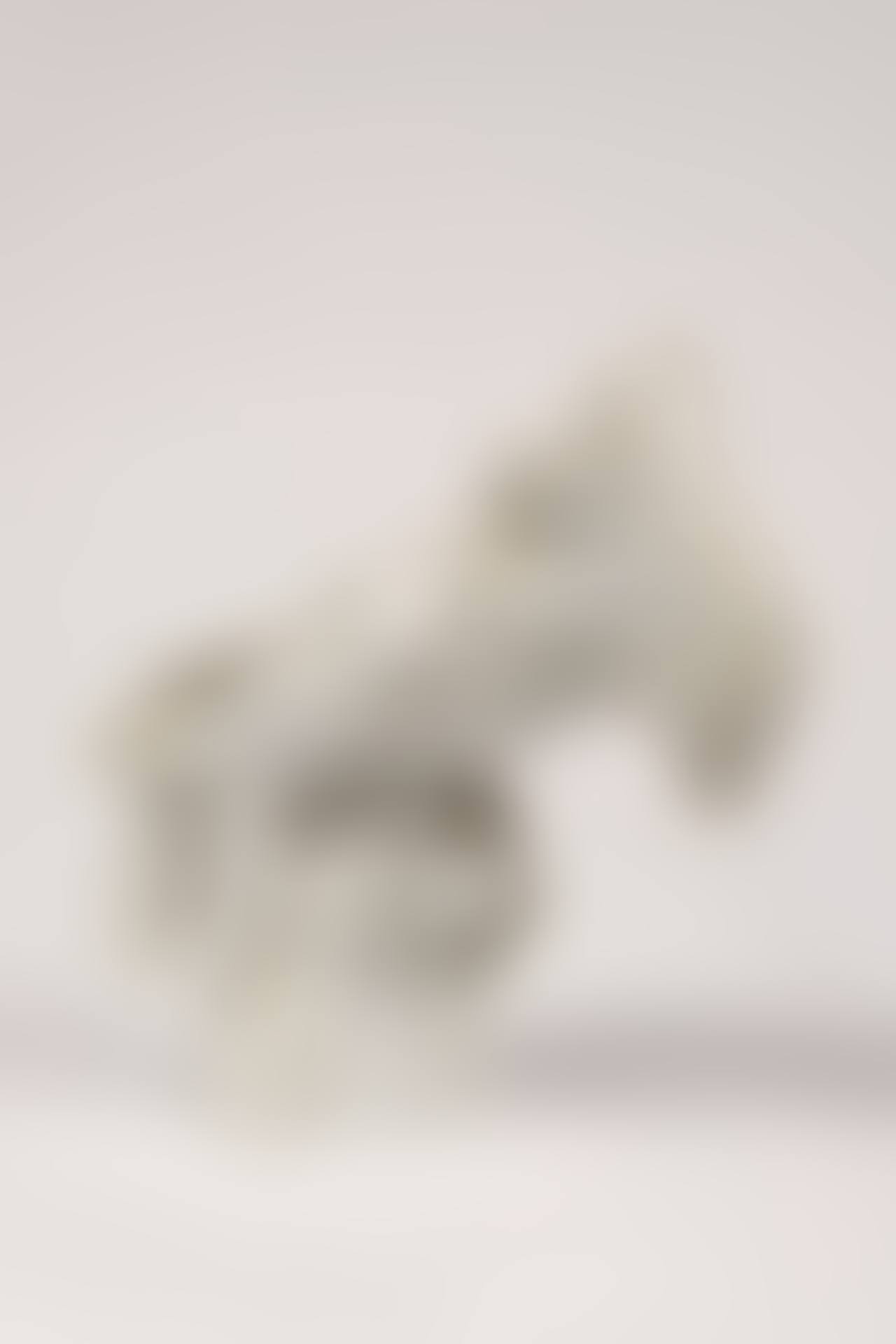 Statuette of a branched parrot (preview)