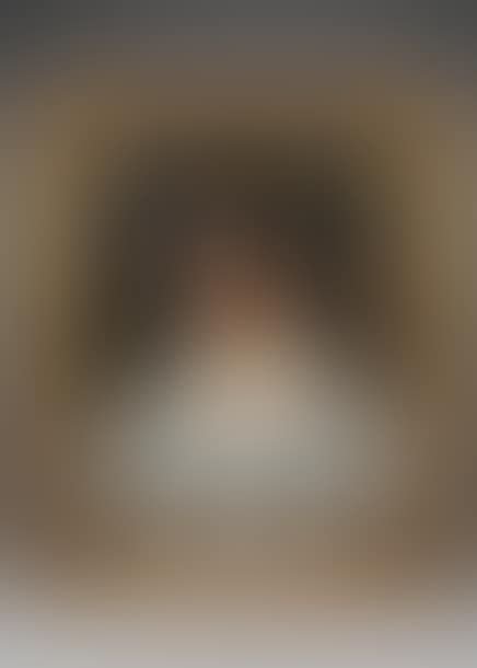 Portrait of a young girl in a white gauze dress (preview)