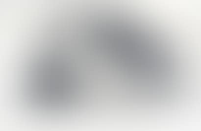The Pigeon on a Grey Background (preview)