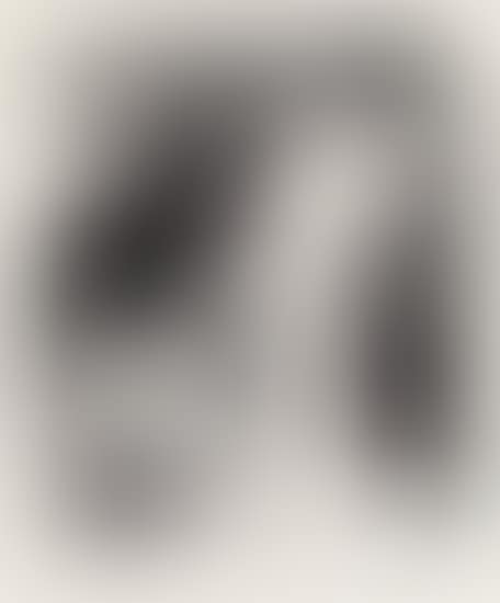 Baigneuses Bretonnes (preview)