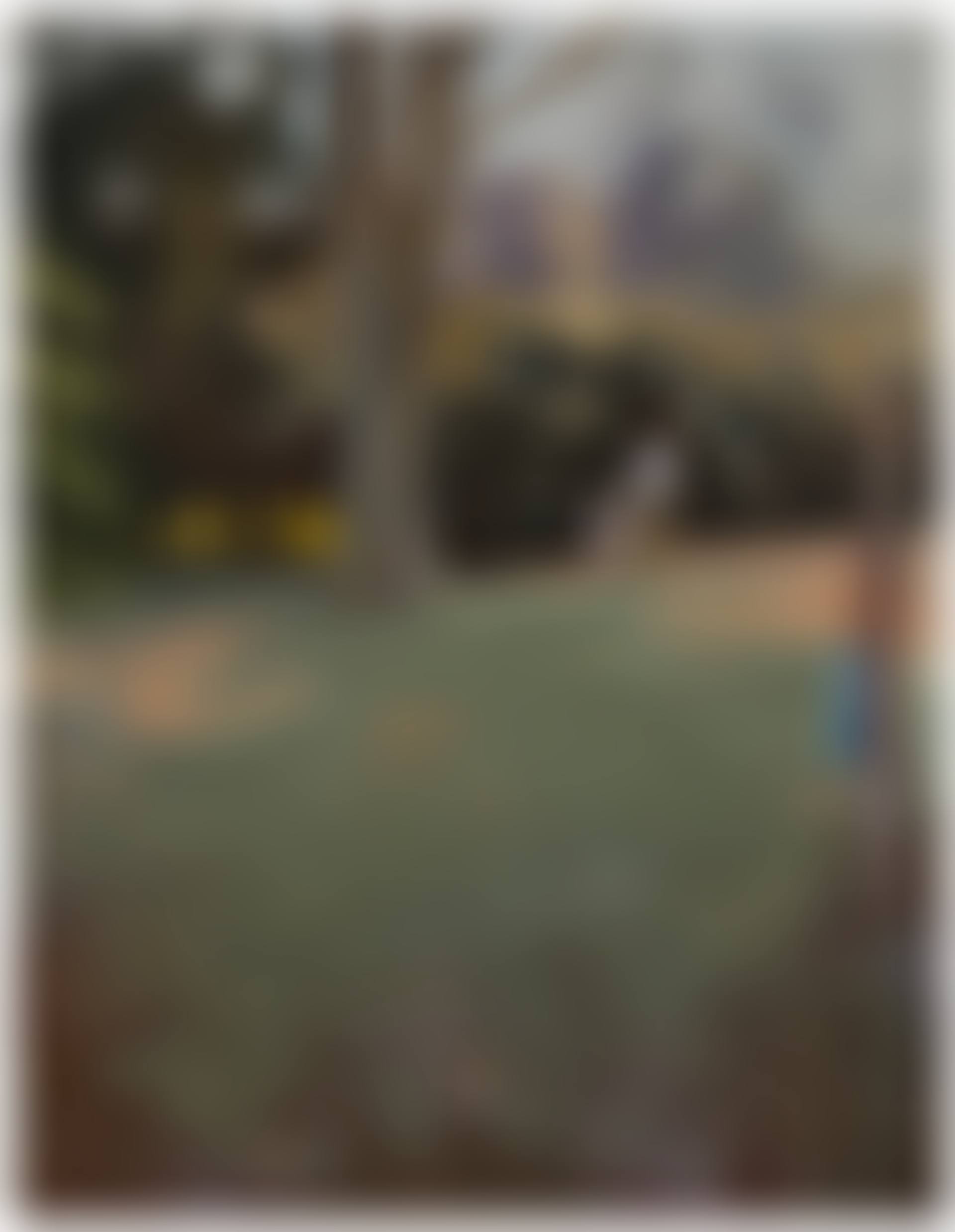 A Short Walk (preview)