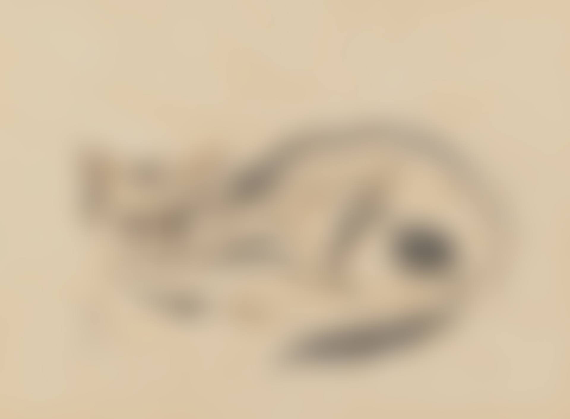 Chat (preview)