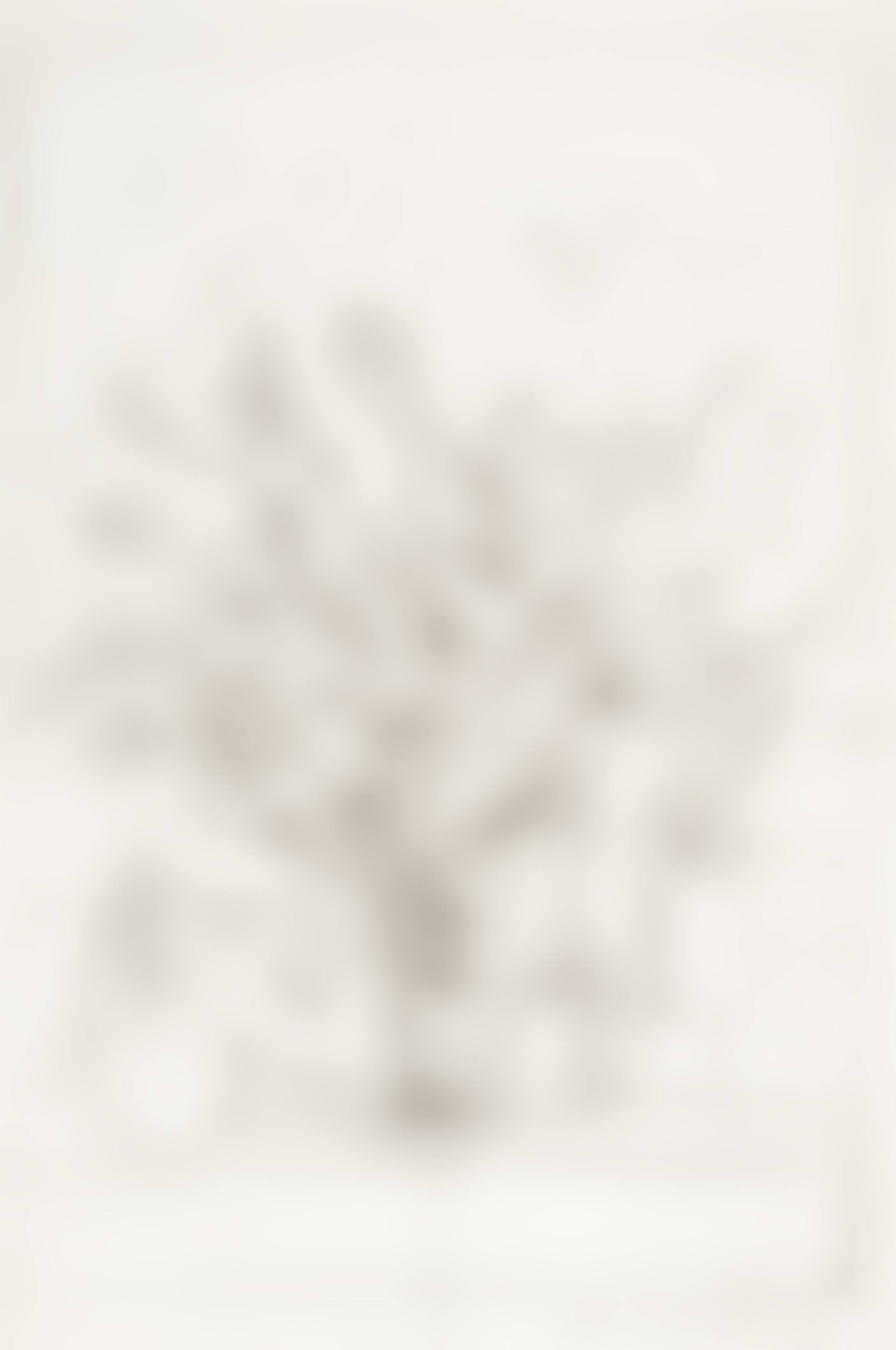 Arbre à Stampa (preview)