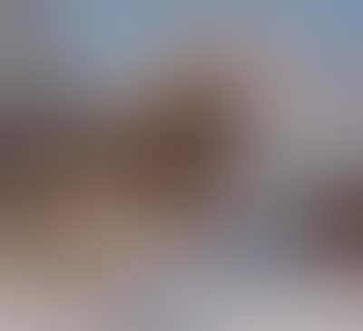 Verschneite Bergbauernhäuser im Kaisergebirge (preview)