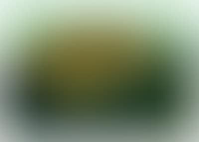 Untitled (mountains) (preview)