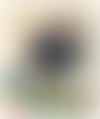 Untitled (preview)