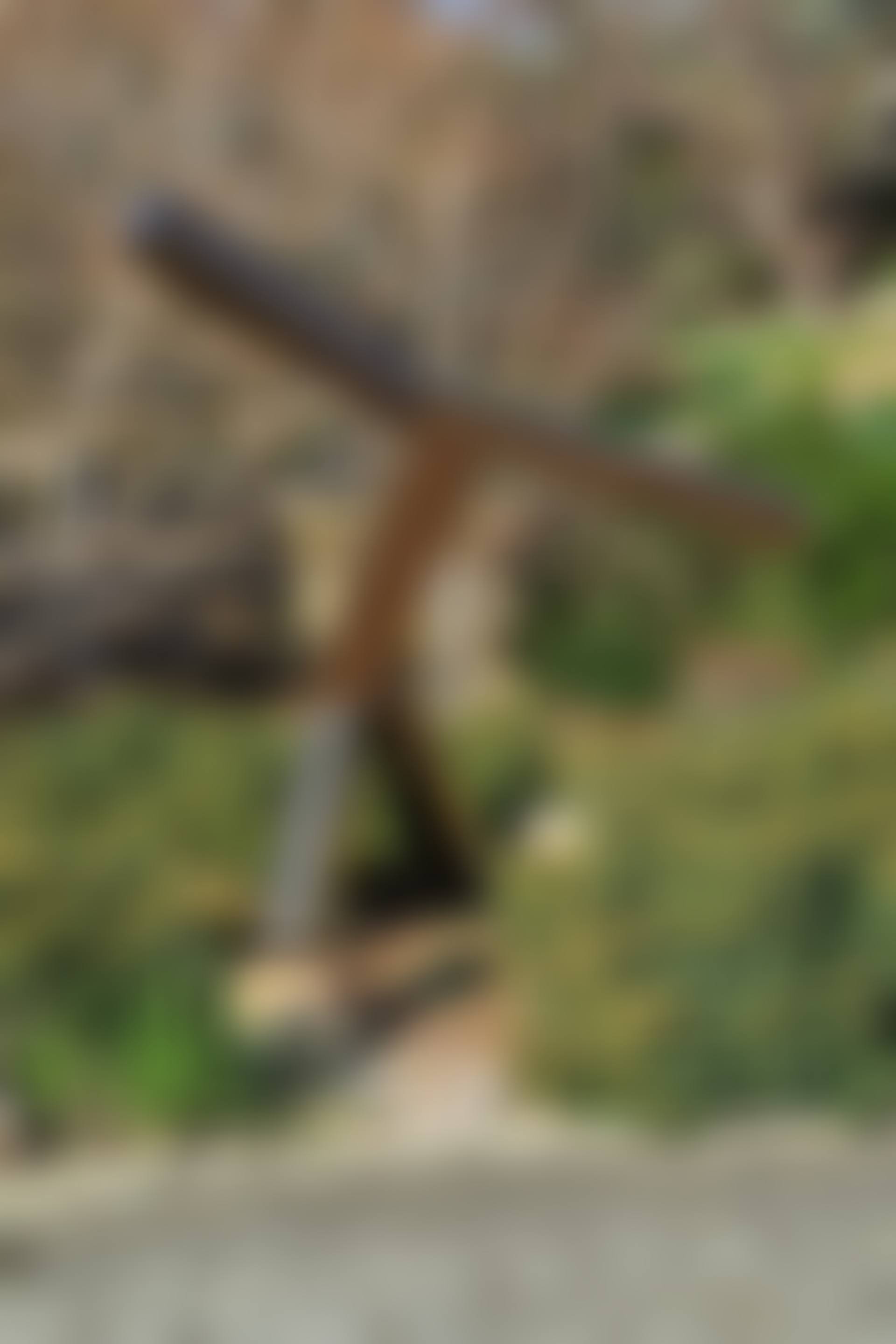 Untitled (preview)