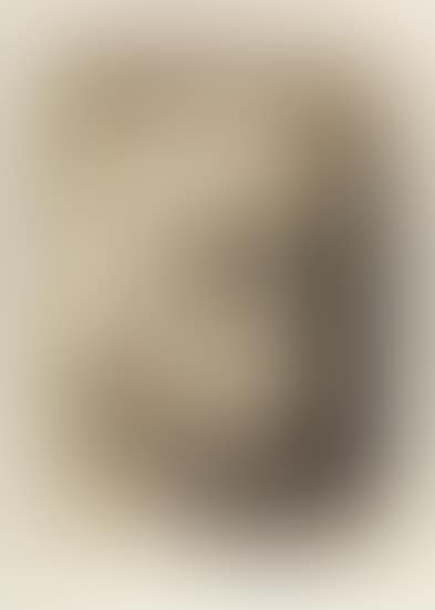 Selbstbildnis (preview)