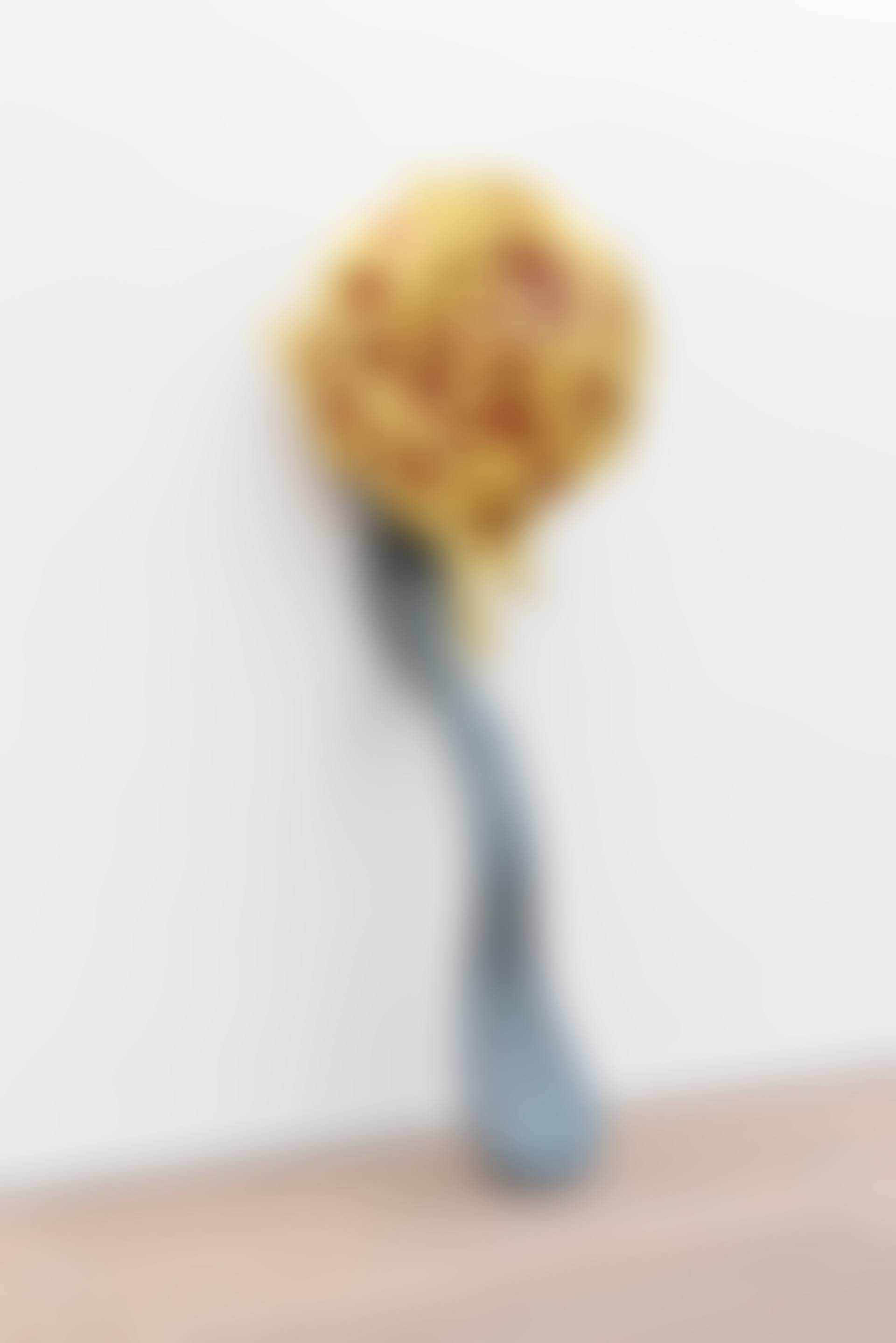 Leaning Fork with Meatball & Spaghetti III (preview)