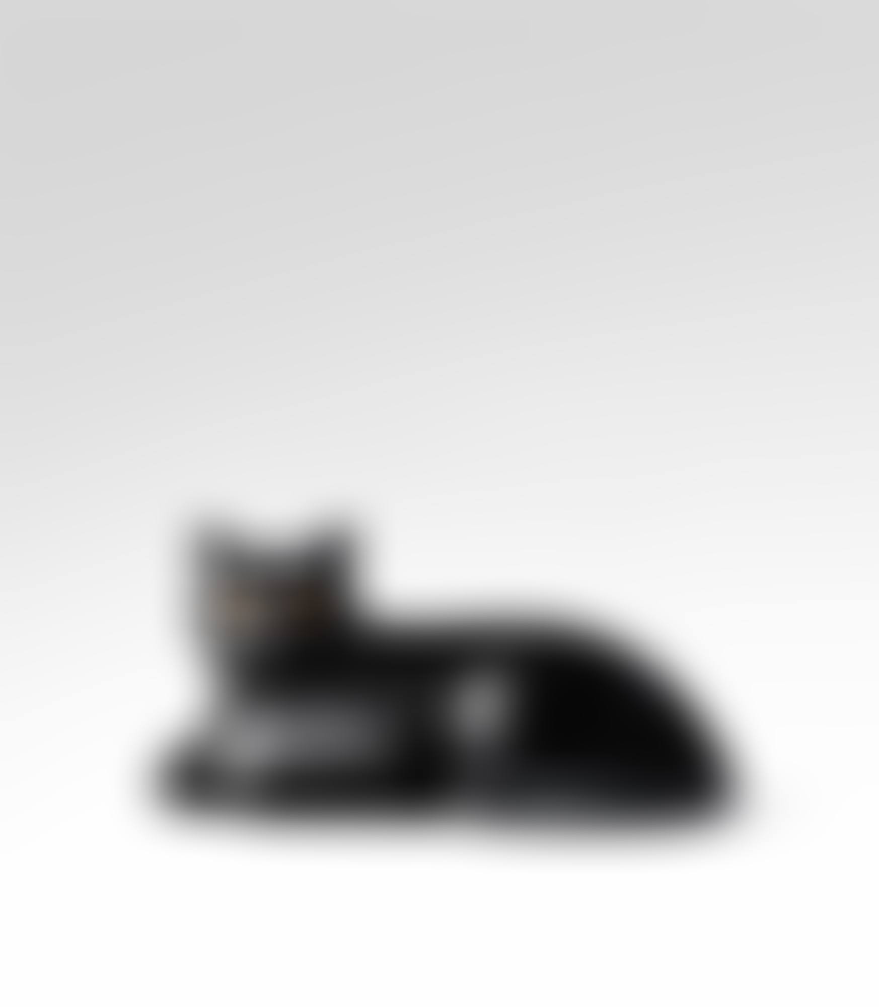 Le Chat (preview)