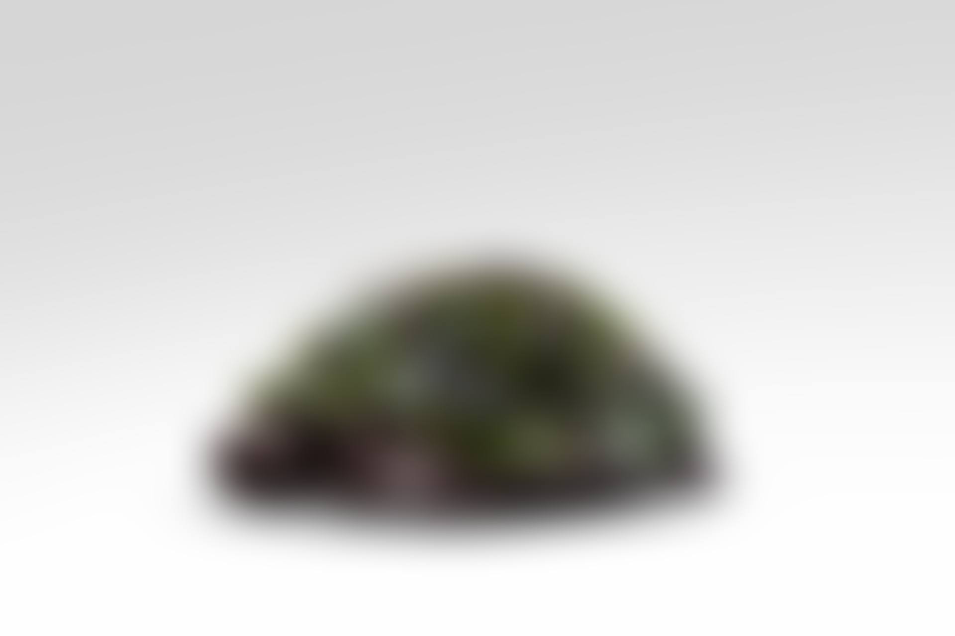 Tortue Topiaire III (preview)