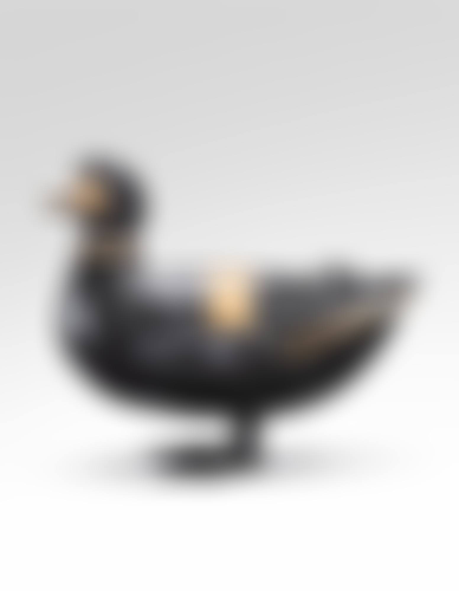 Canard (preview)
