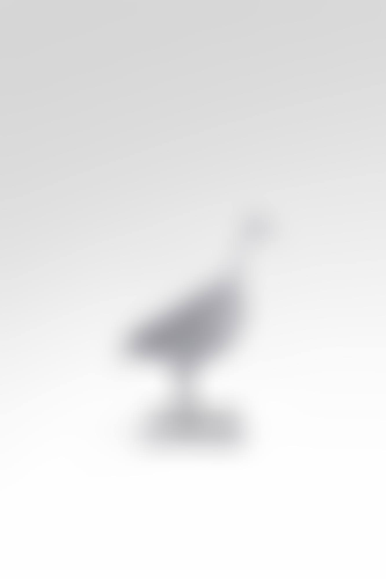 Chaise Oiseau d"argent (preview)