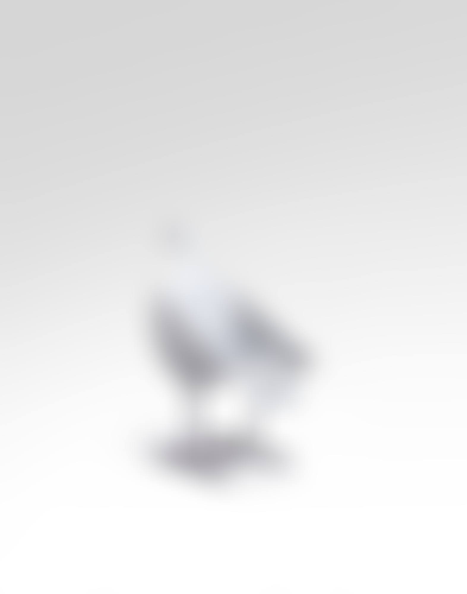 Chaise Oiseau d"argent (preview)