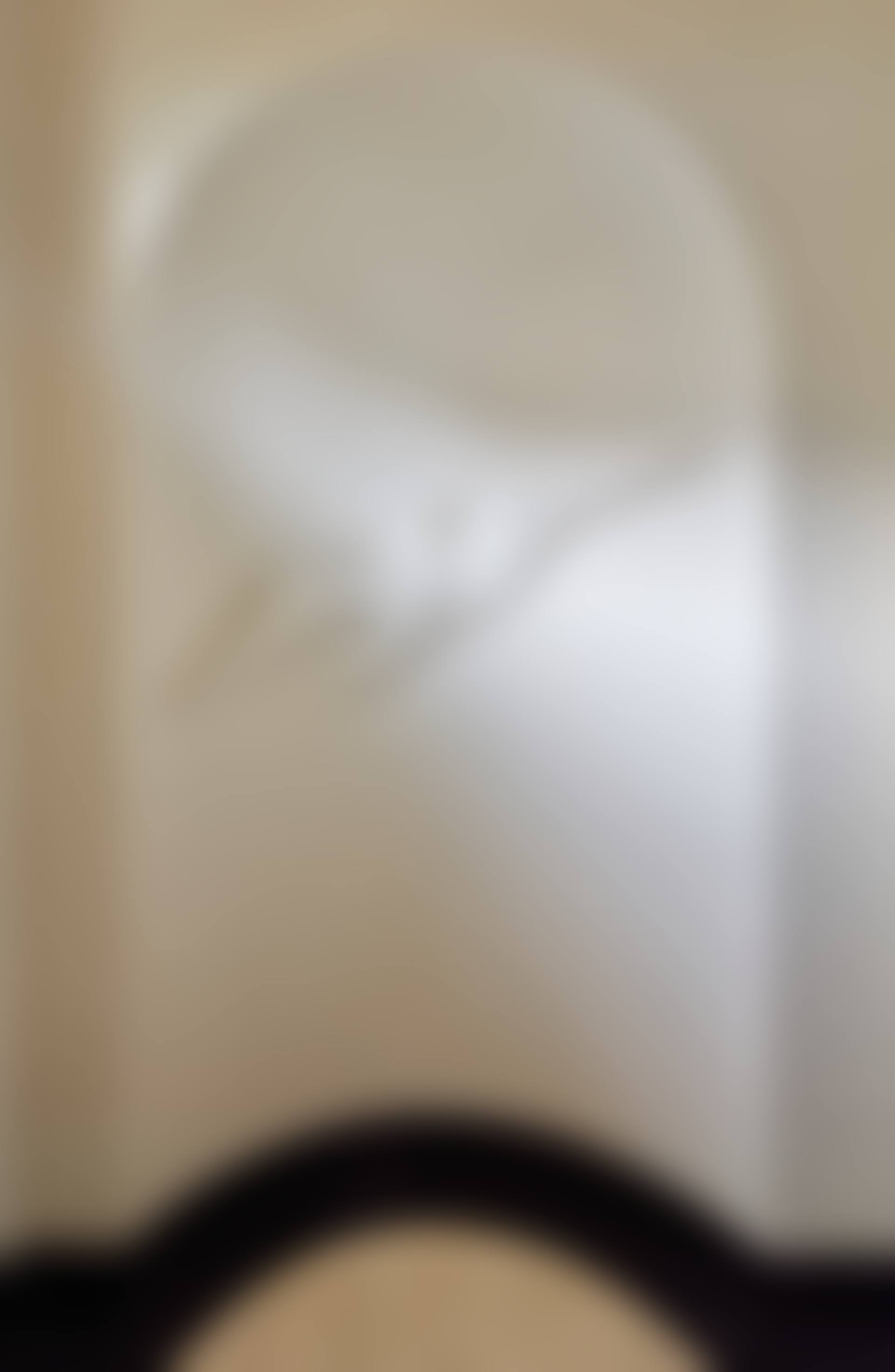 Important and Rare "Oiseau", Curved Version (preview)