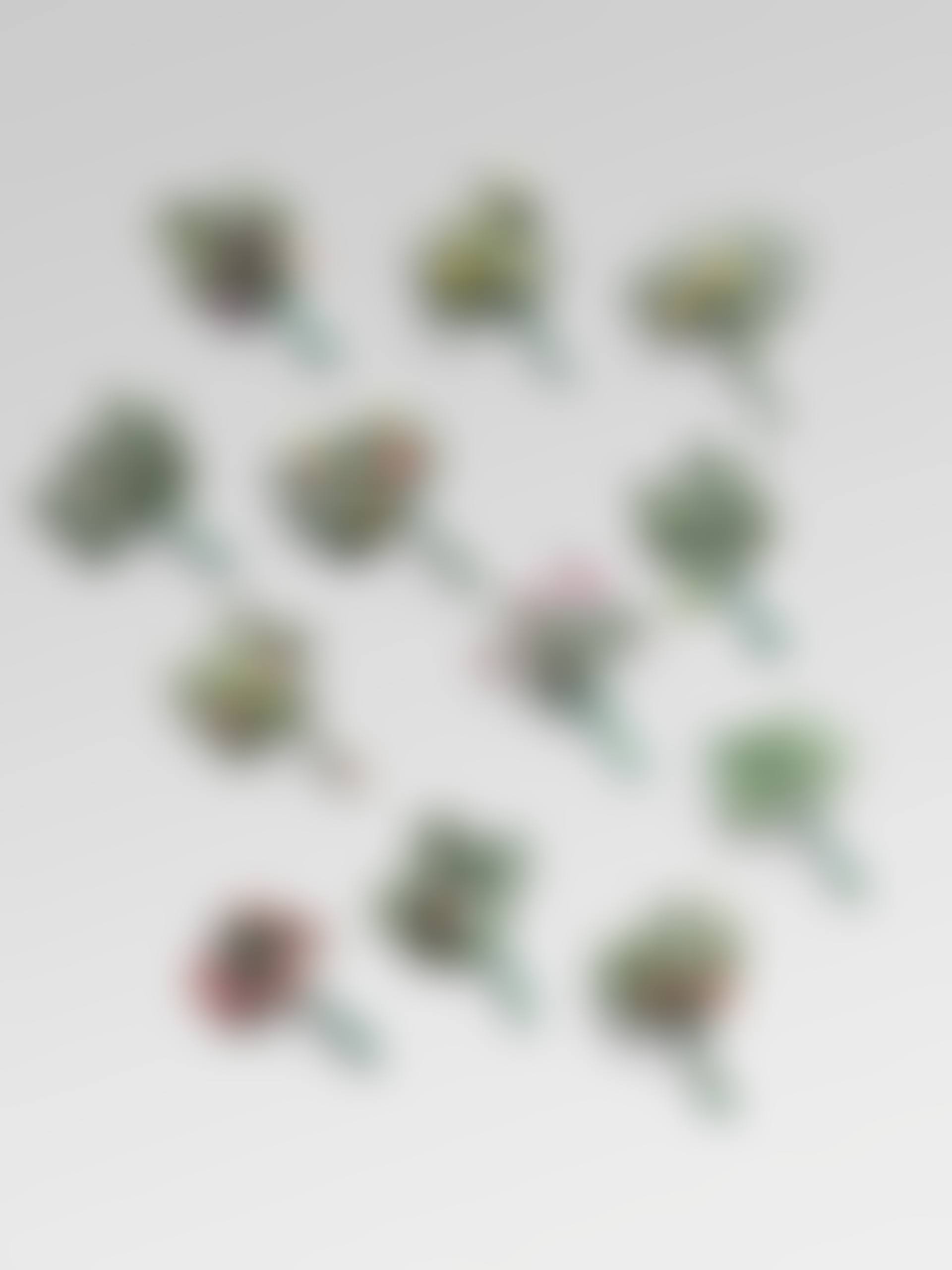 Ensemble de douze porte-couteaux "Branches de figuier, grenadier, citronnier, pommier, poirier, vigne, pêcher, marronnier, chêne, fraisier des bois, laurier et cerisier" (preview)