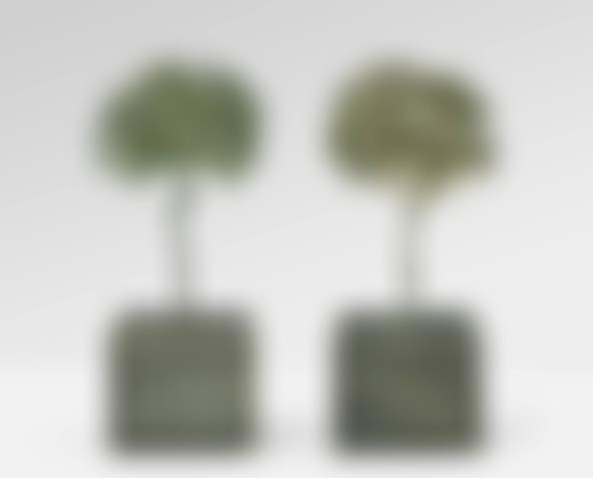 Paire de "Citronniers" (preview)