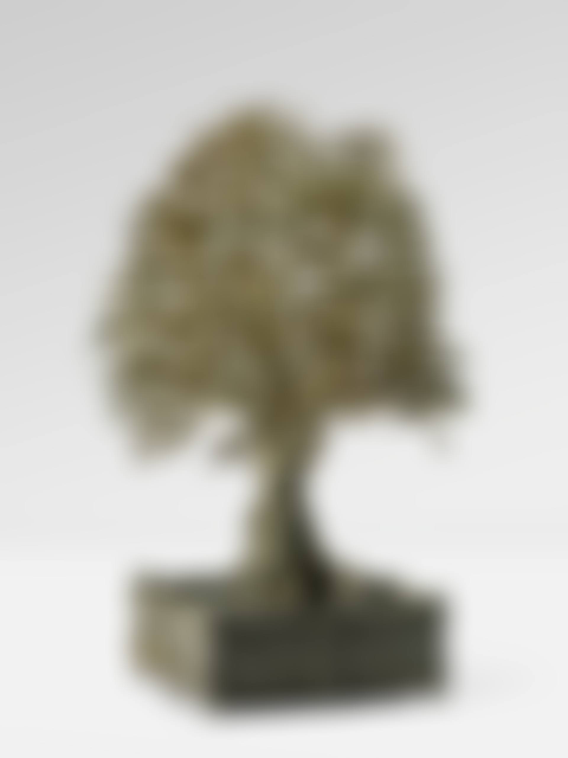 "Grand Olivier" (preview)