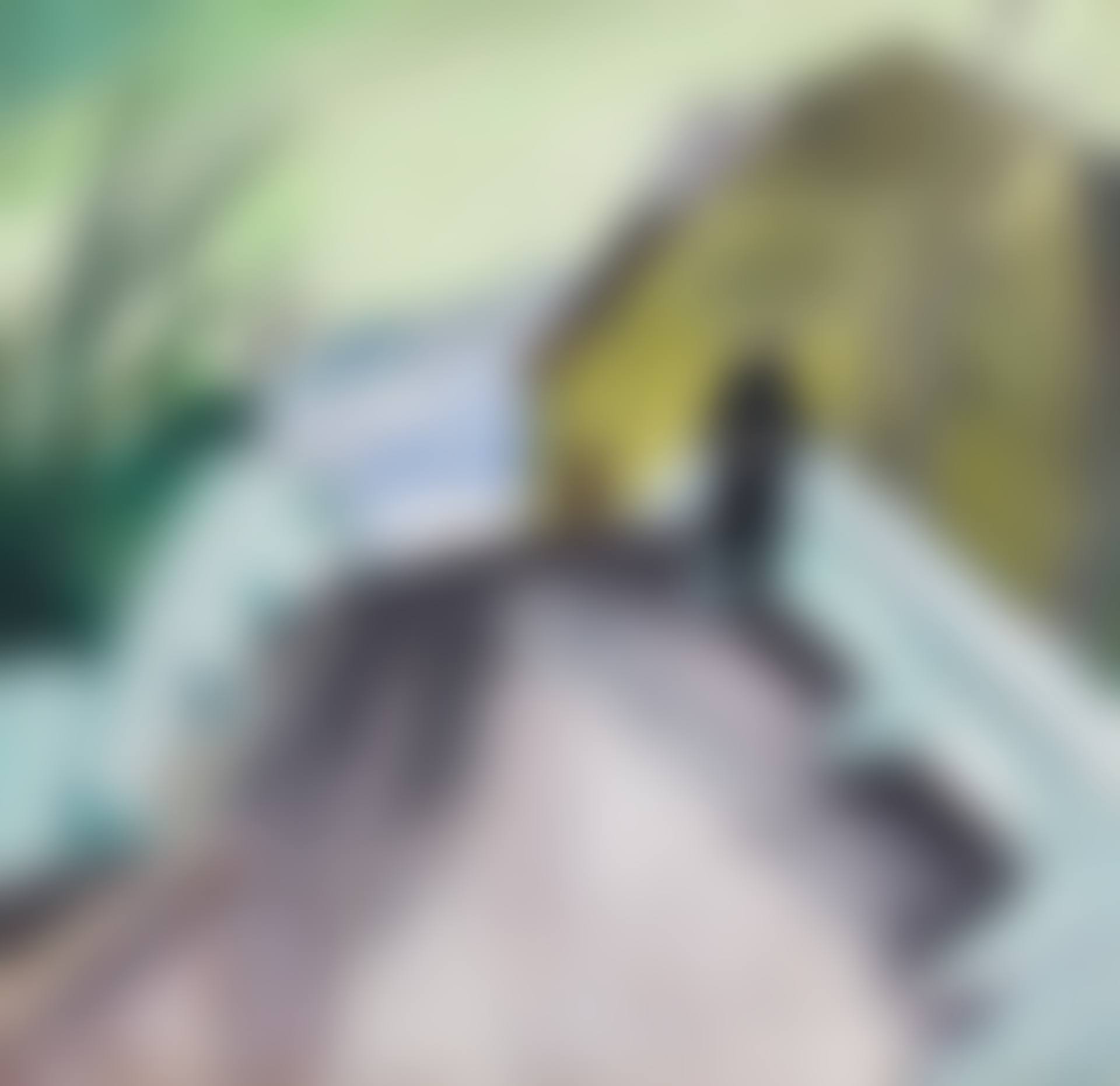 Auf der Brücke (preview)