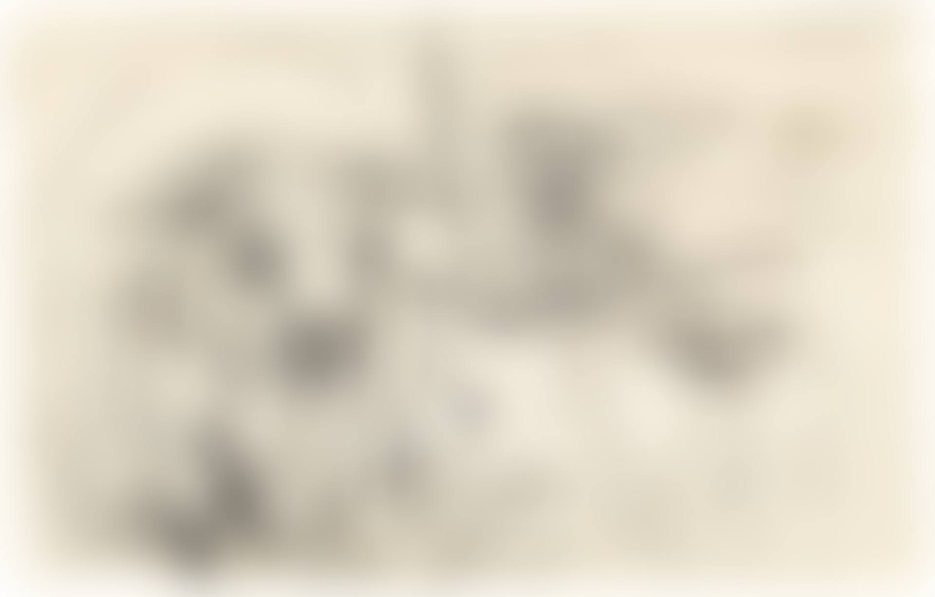 Zwei Kühe (preview)