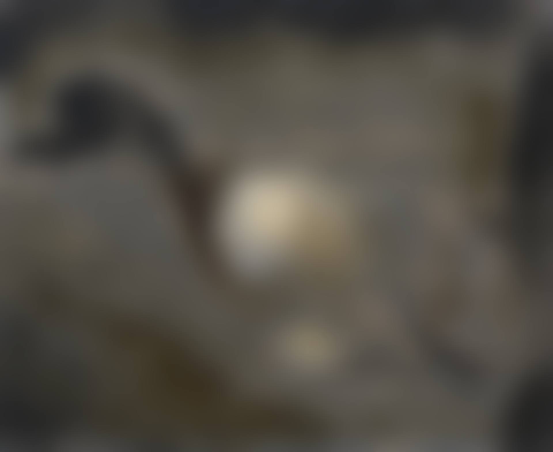 Le canard (preview)