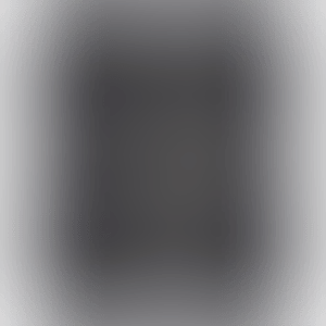 Banksquiat (Black) (preview)