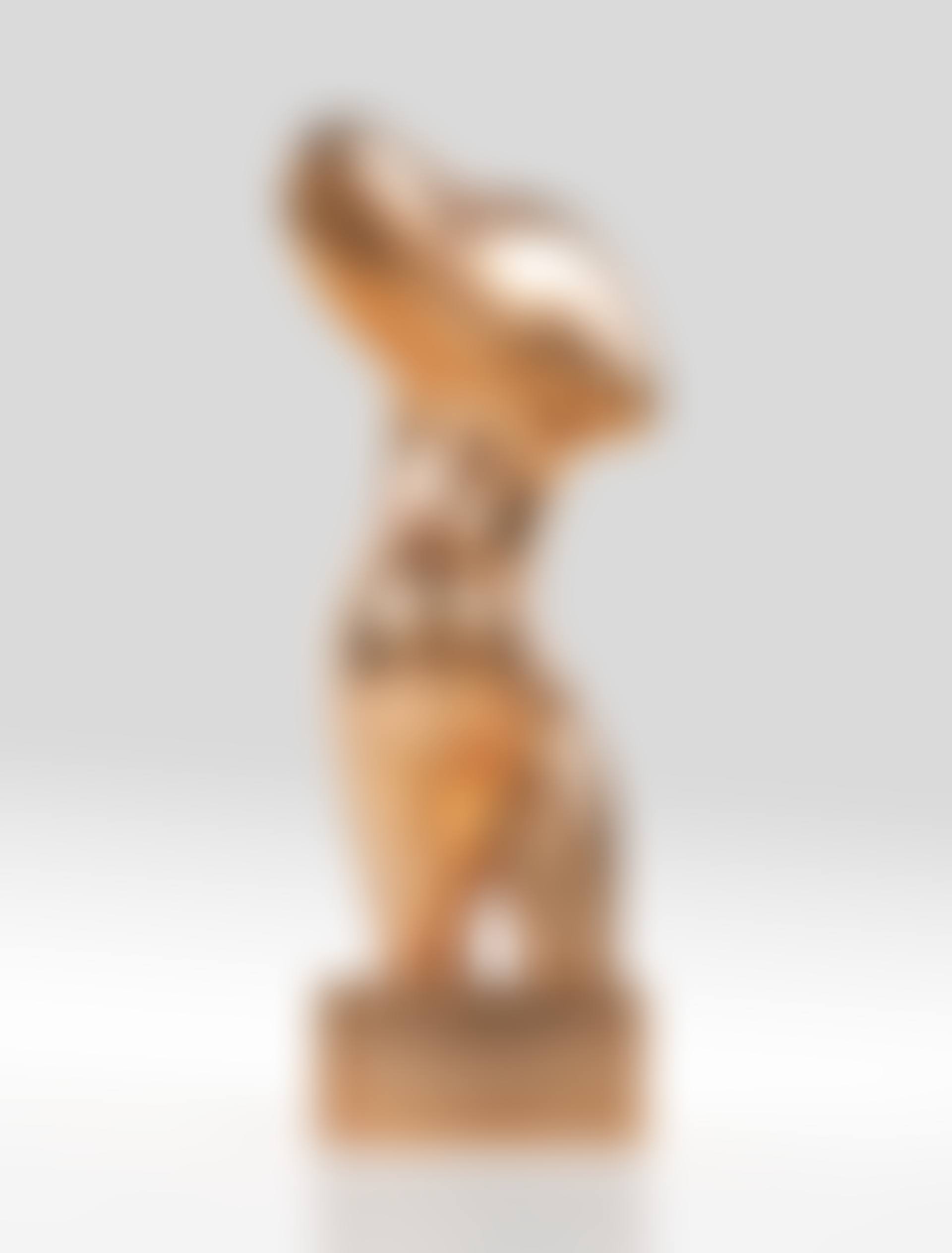 Torso (preview)
