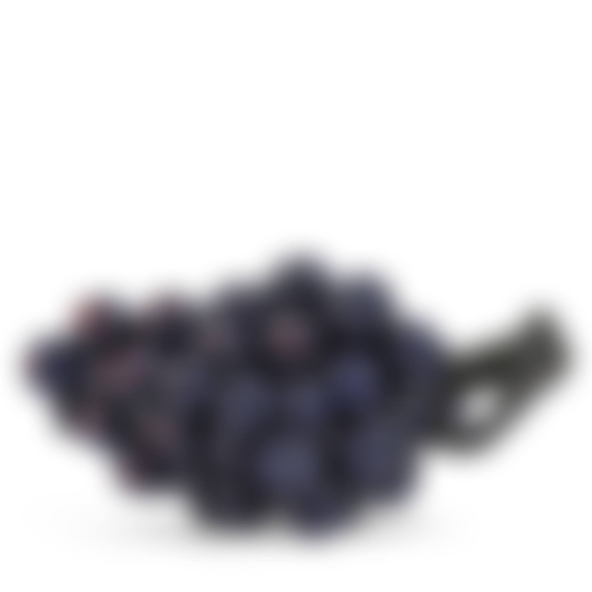 Bunch of grapes (preview)