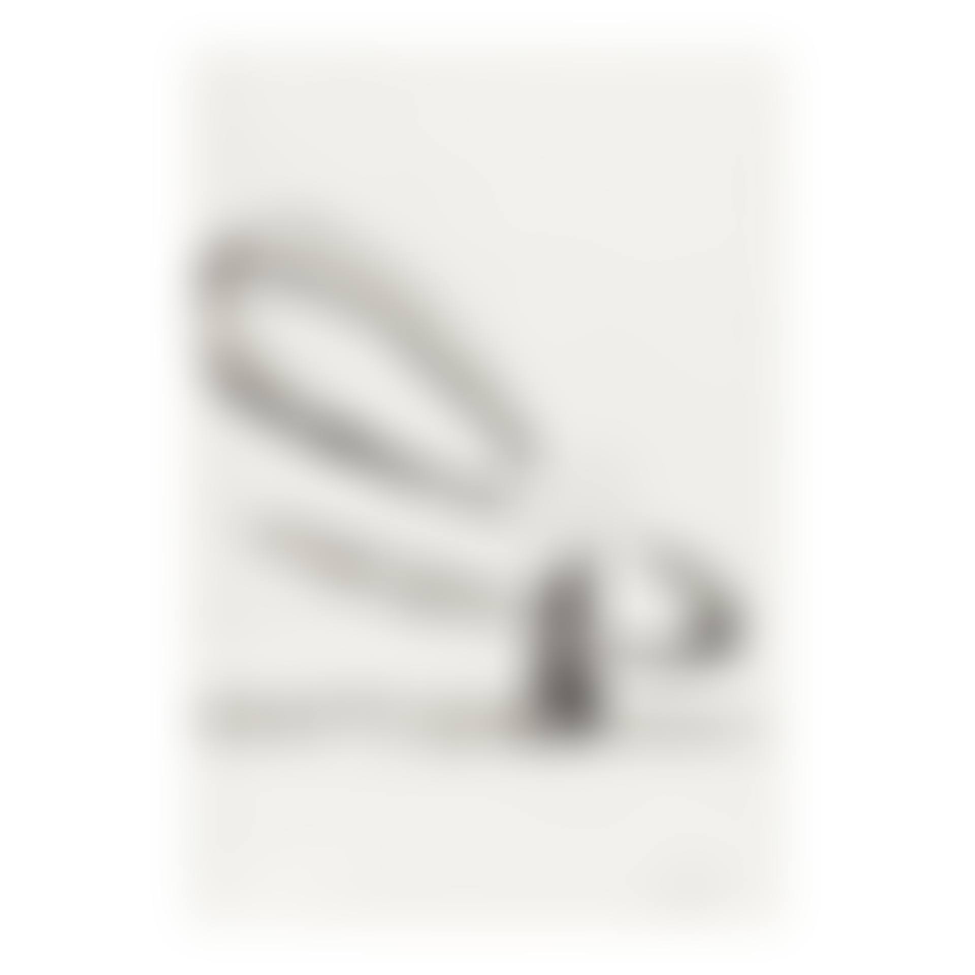 Flowers (Black and White) (Feldman & Schellmann III.107) (preview)