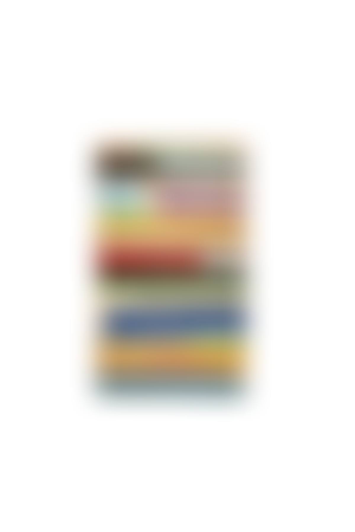 Tapestry project, 11.11.1954 (preview)