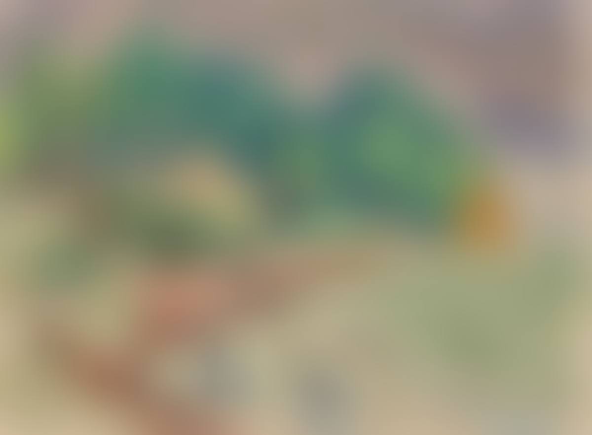 ”Wald am Ufer” (preview)
