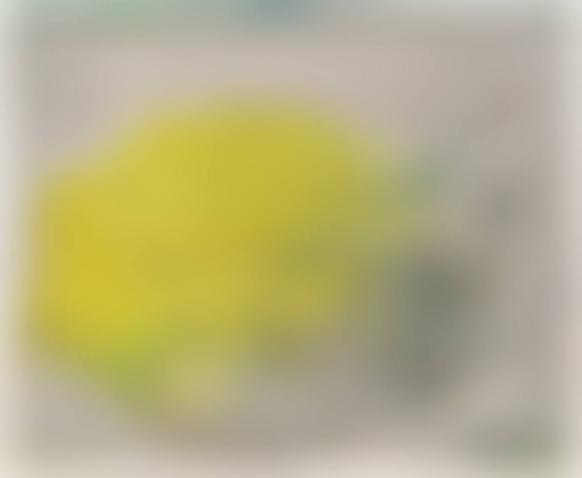 ”21.07.50-Saint-Jeoire - Montagne jaune” (preview)
