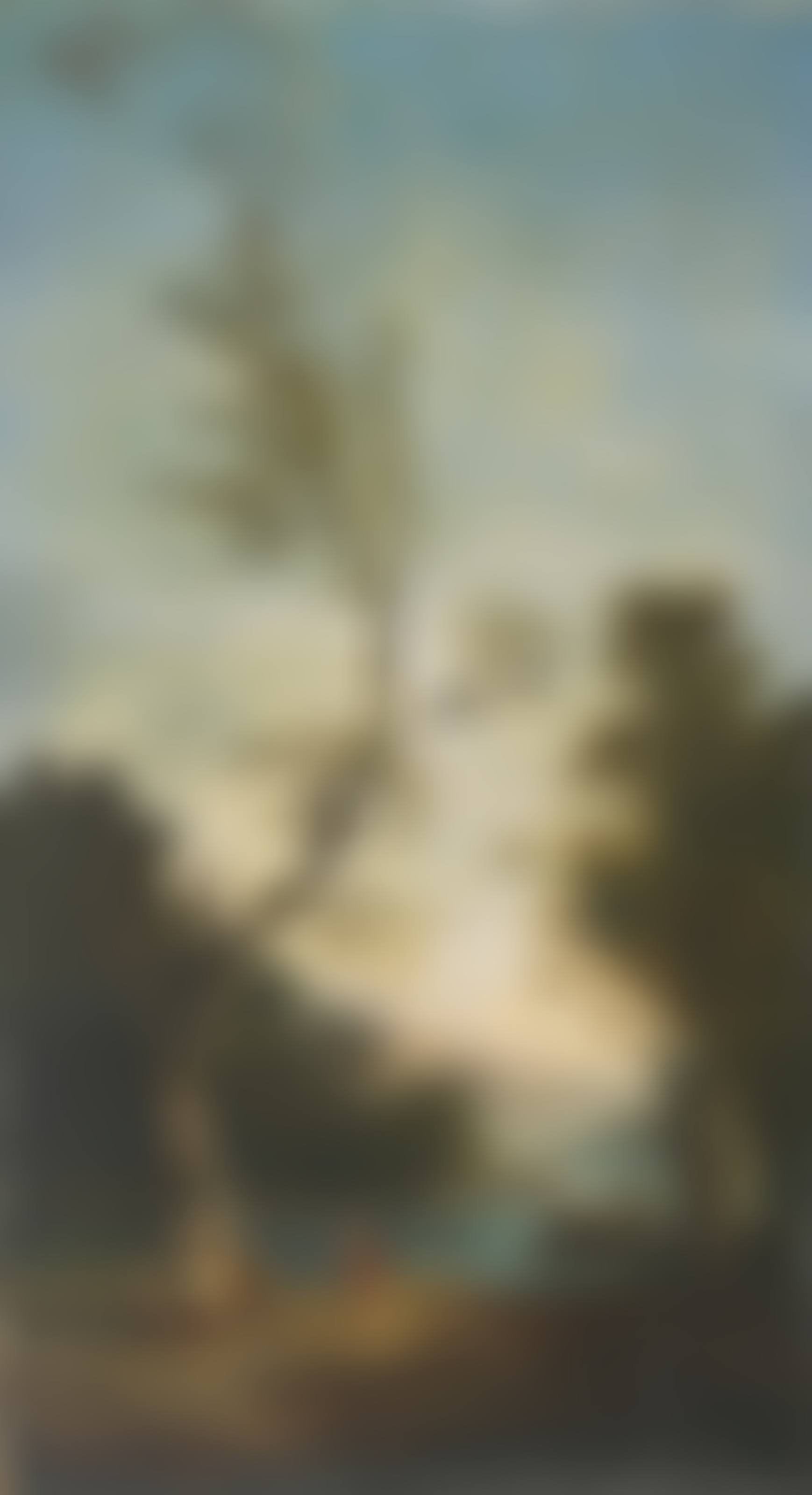 Le Cerf-volant (preview)