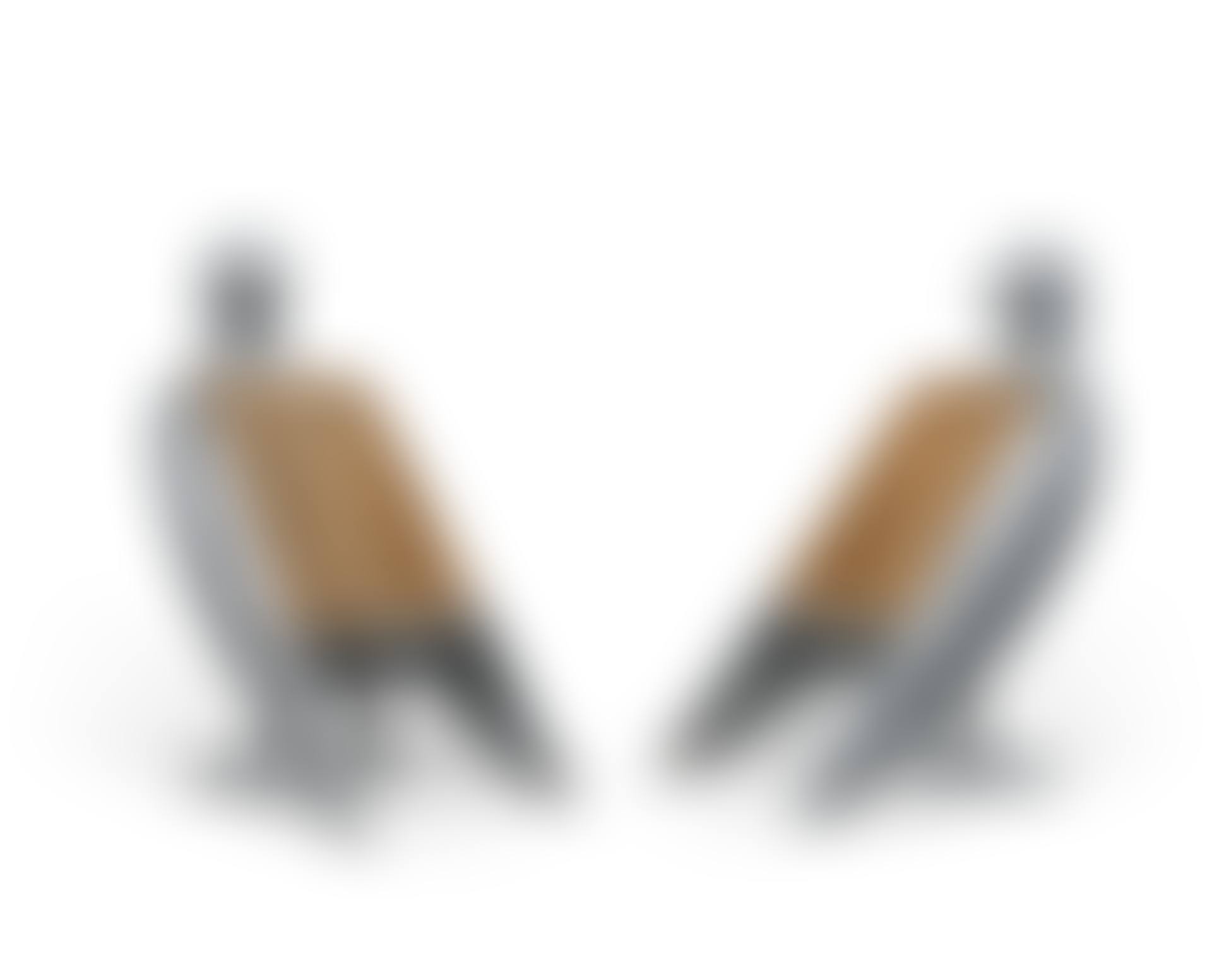Pair of "Tourterelle" Armchairs (preview)
