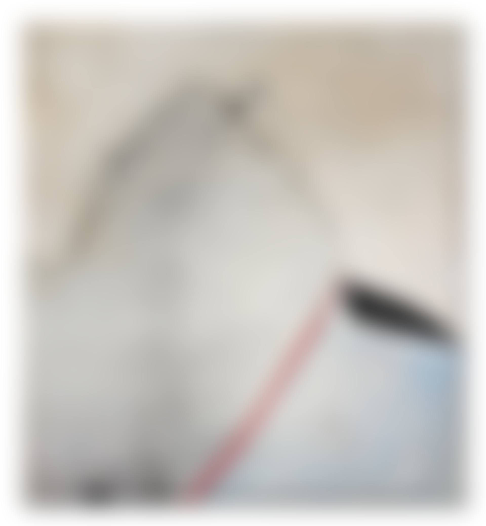 Sans titre (preview)