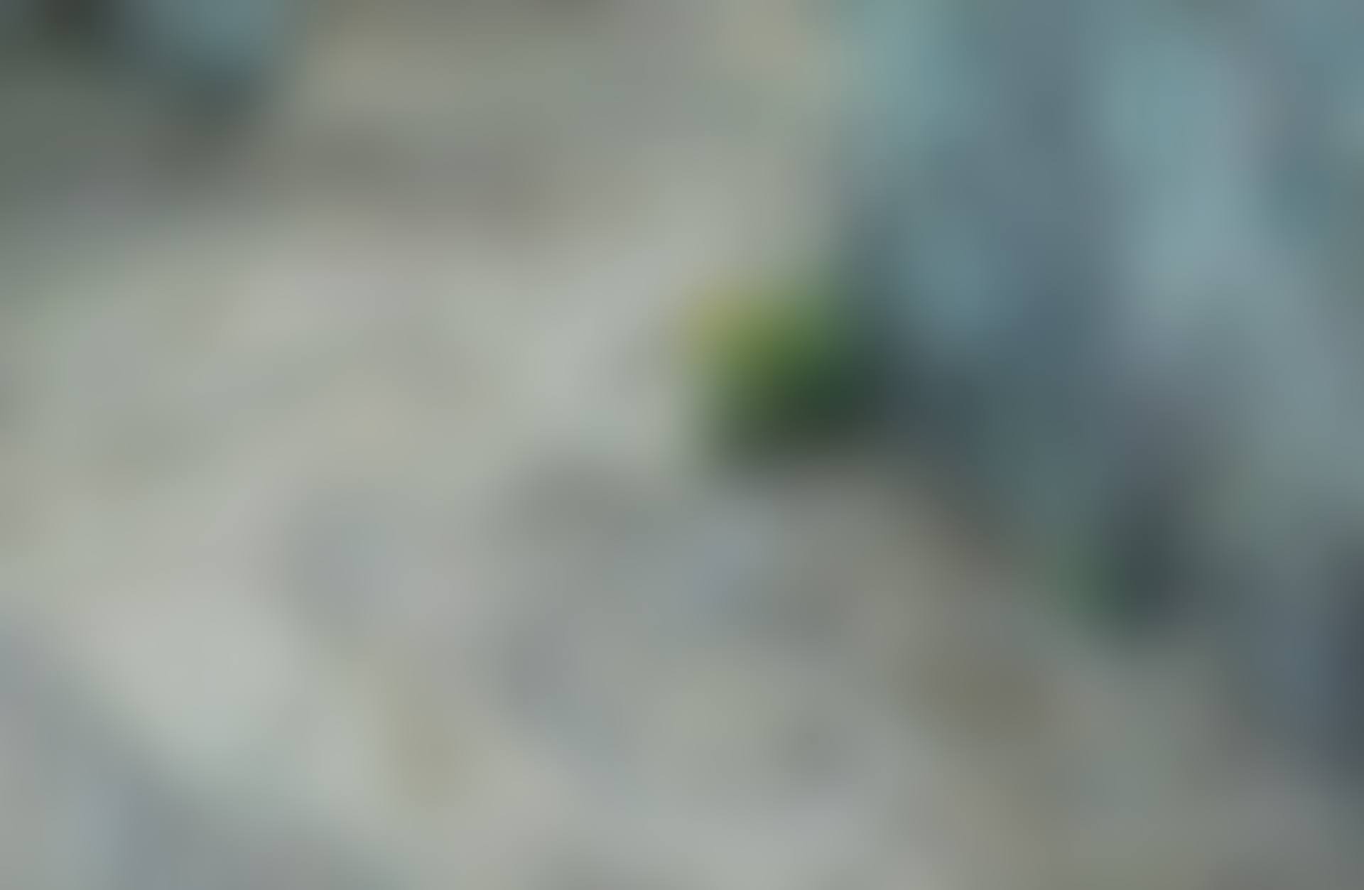민들레야 (preview)