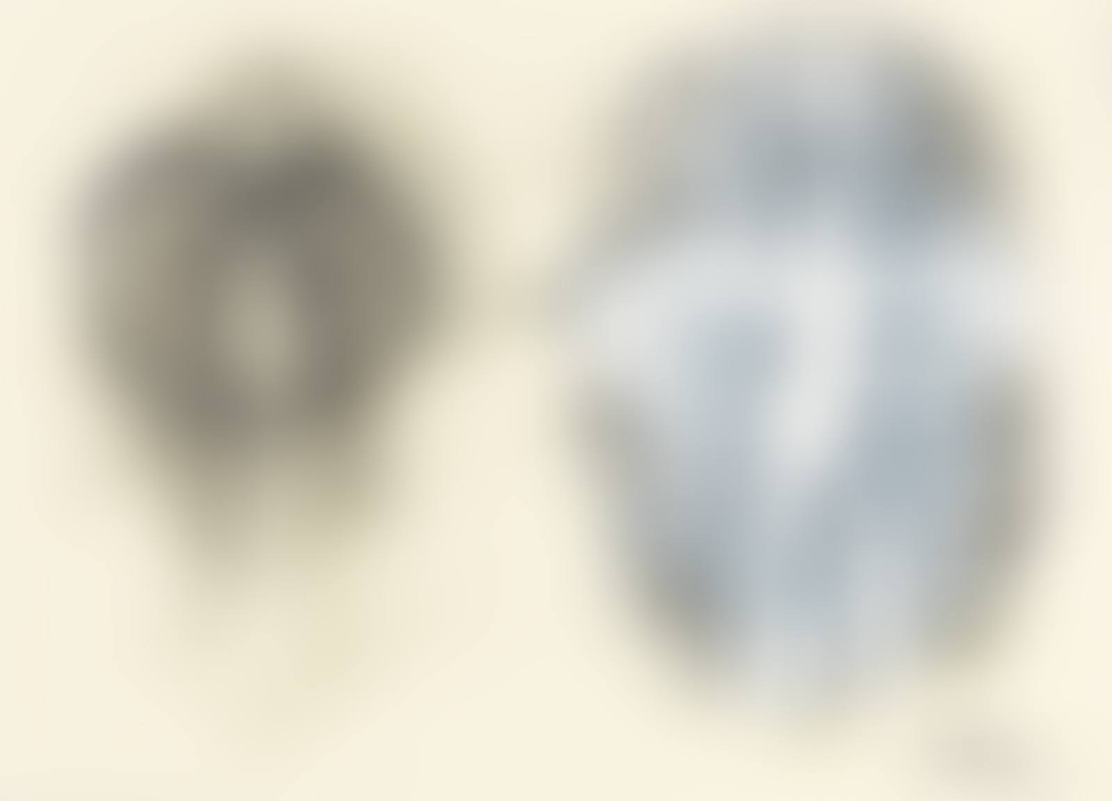Untitled (preview)