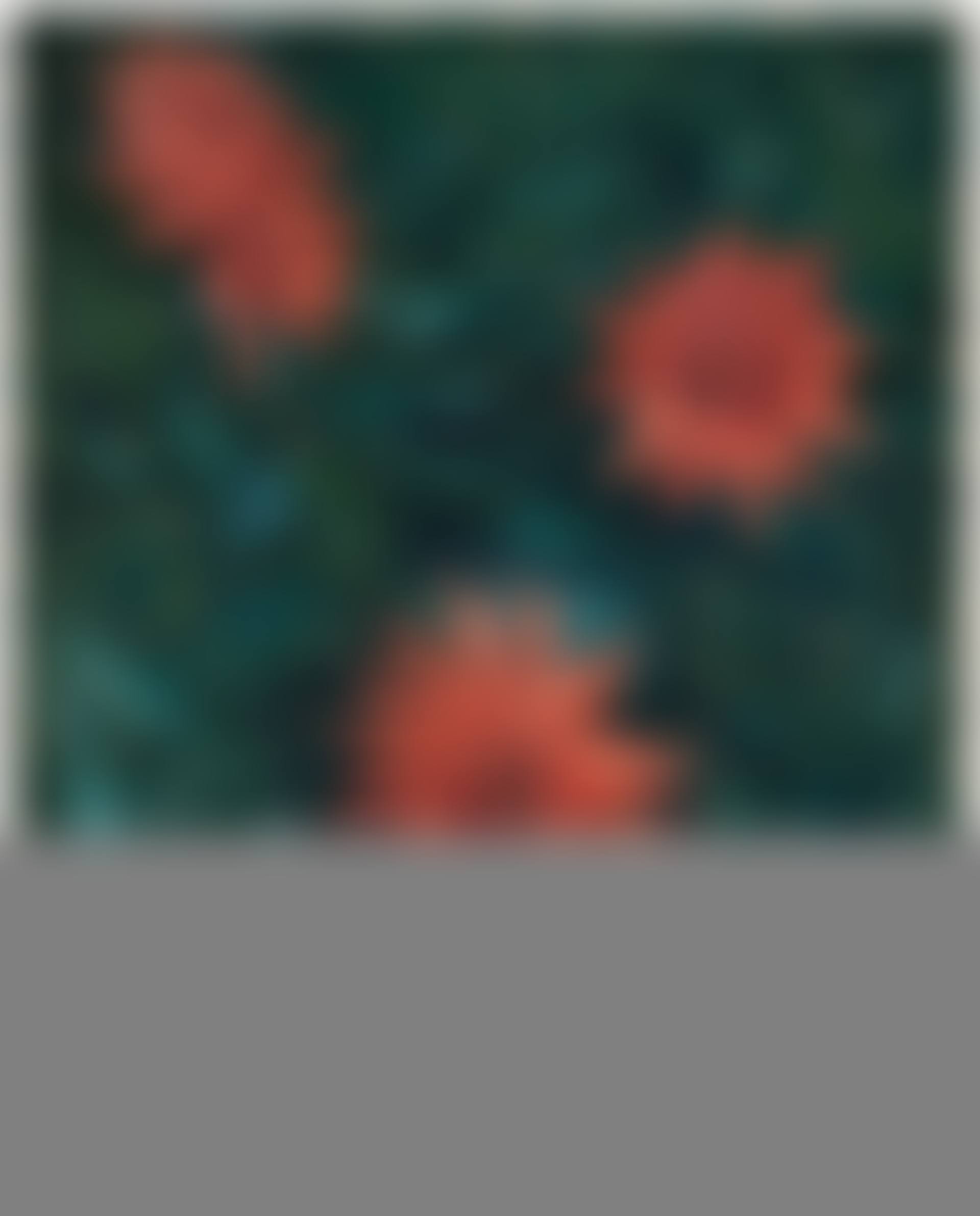 Etude de fleurs, jardin du Petit Gennevilliers (preview)