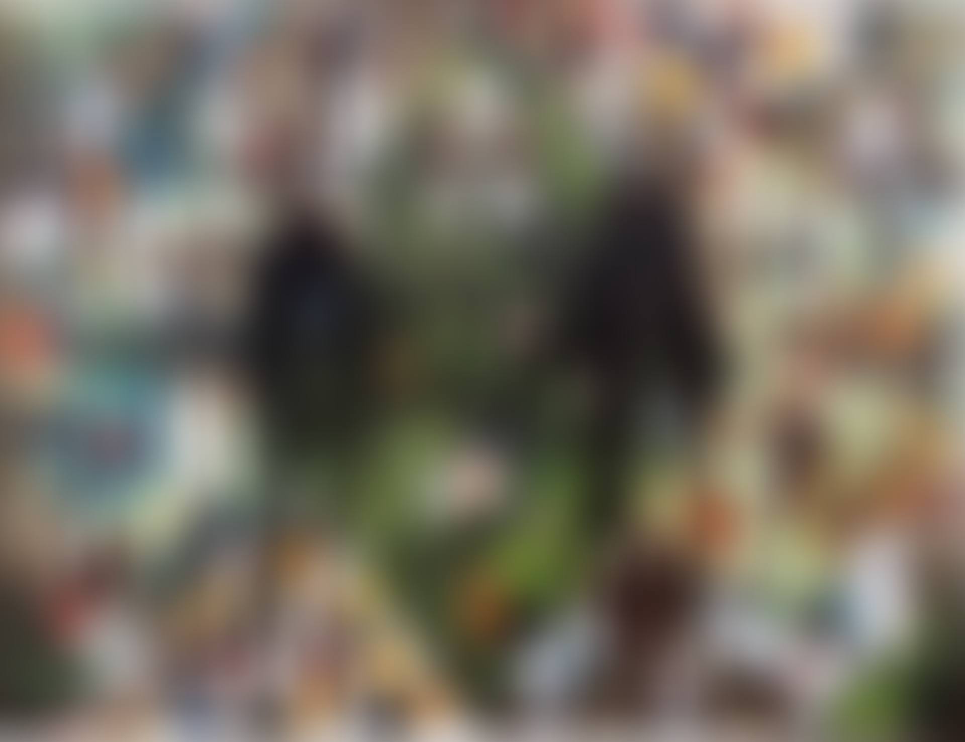 Untitled Escape Collage (preview)