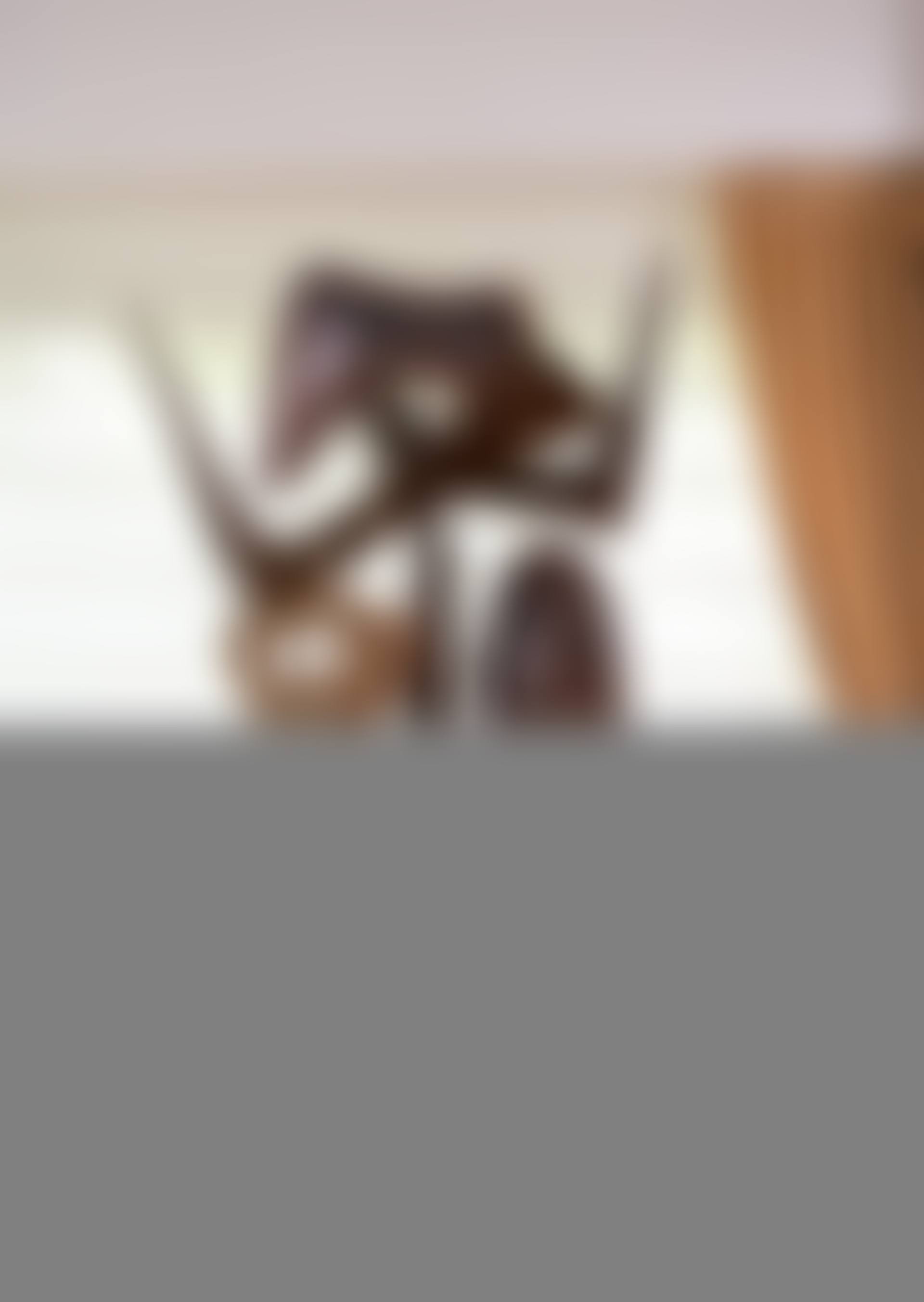 Cheng San (preview)