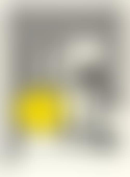 Untitled (Still Life with Lemon and Glass) (preview)