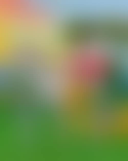 Primavera - Tramonto (preview)