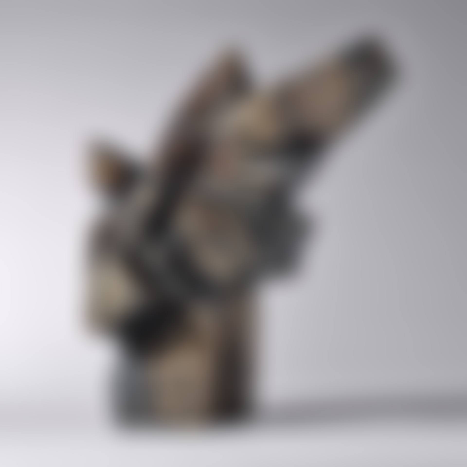 Taichi Series (preview)