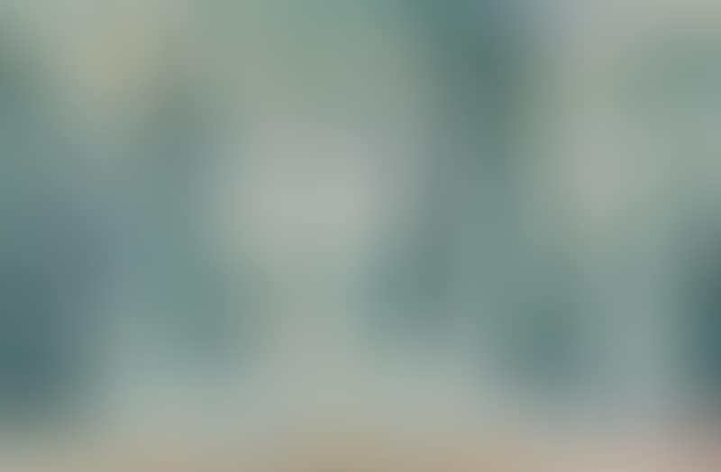 Pine forest (preview)