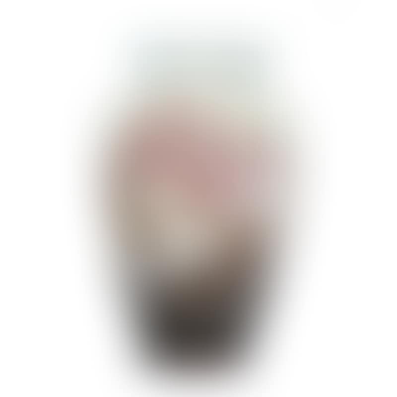A frosted glass vase (preview)