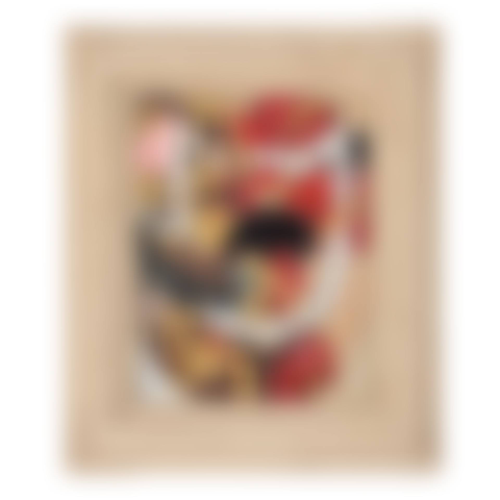 Canal Street Cat (preview)