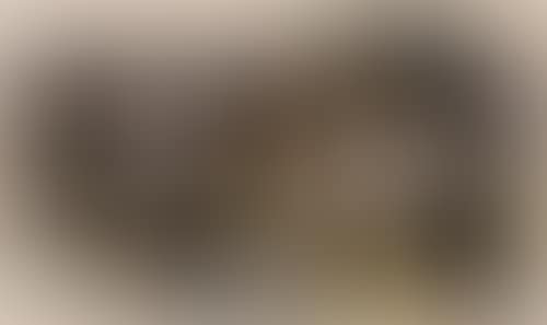 La Calle (preview)